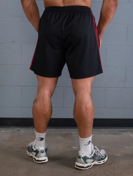 Spodenki treningowe męskie 2 Stripe Standard Mesh Shorts 4"