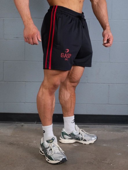 Spodenki treningowe męskie 2 Stripe Standard Mesh Shorts 4"