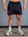 Spodenki treningowe męskie 2 Stripe Standard Mesh Shorts 4"